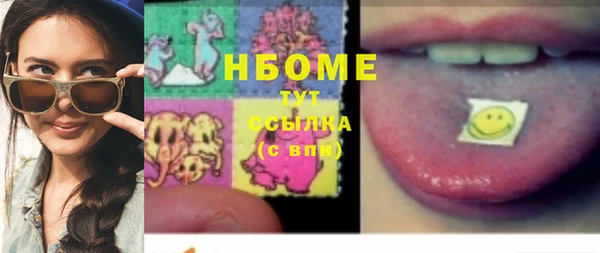 прущие грибы Сатка