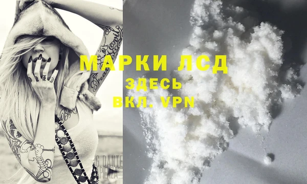 прущие грибы Сатка
